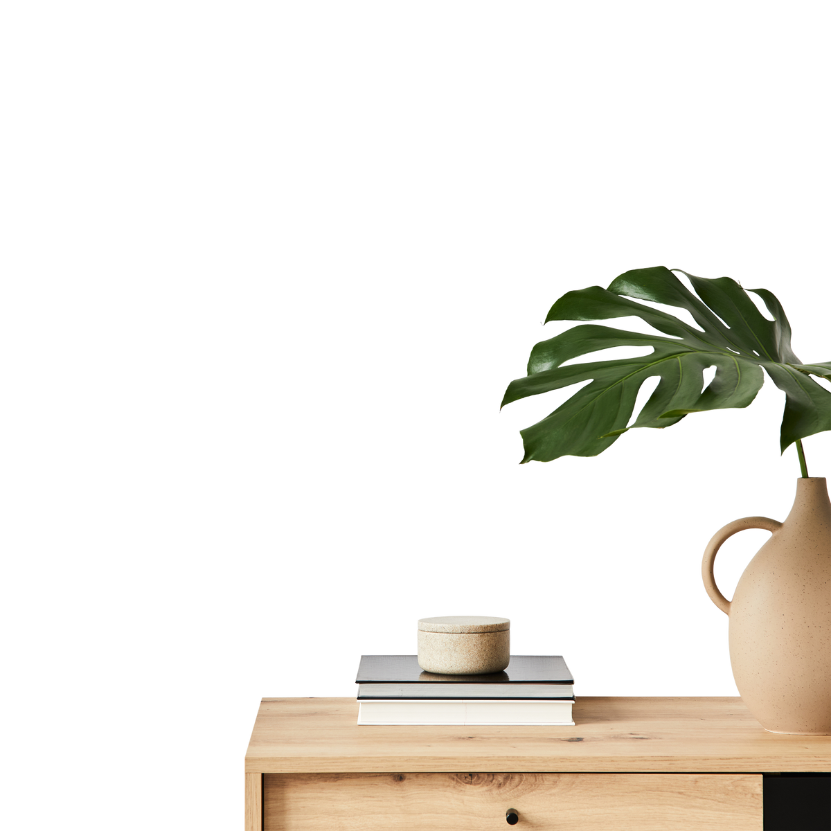 Transparent lager av ett minimalistiskt bord med vas och växt